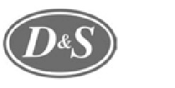 ds-logo