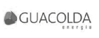 guacolda-logo